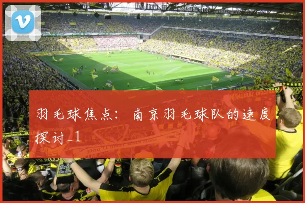 羽毛球焦点：南京羽毛球队的速度探讨_1