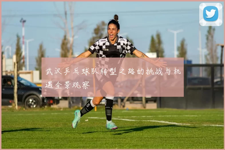 武汉乒乓球队转型之路的挑战与机遇全景观察