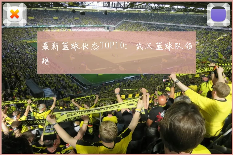 最新篮球状态TOP10：武汉篮球队领跑