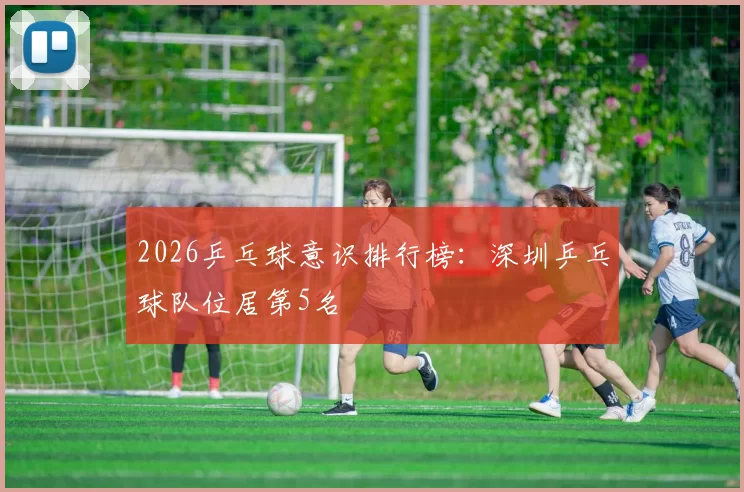 2026乒乓球意识排行榜：深圳乒乓球队位居第5名
